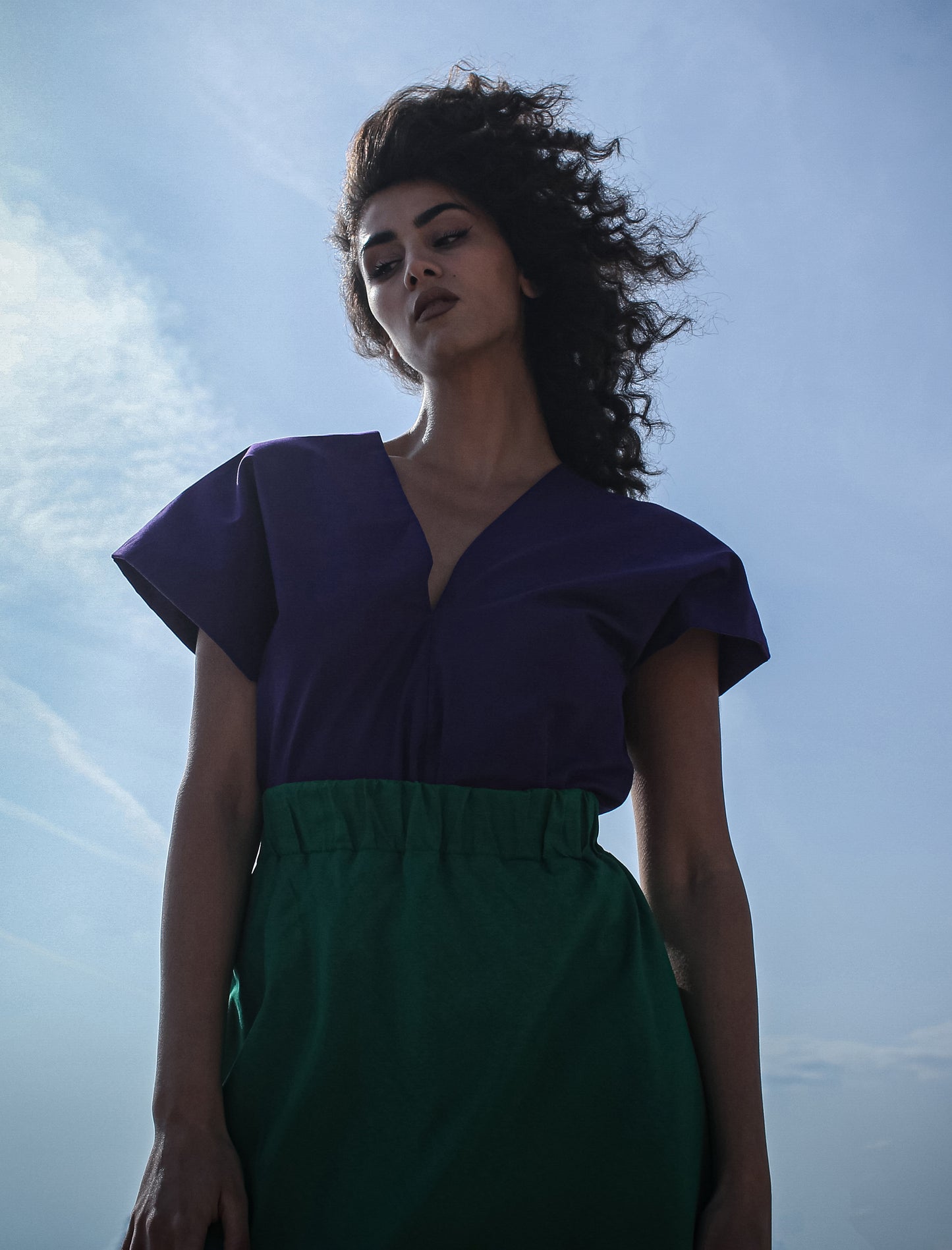 Phoebe top royal purple